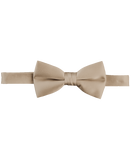 Bow Tie