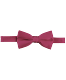 Bow Tie