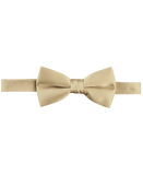Bow Tie