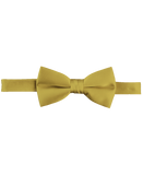 Bow Tie