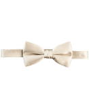 Champagne Beige